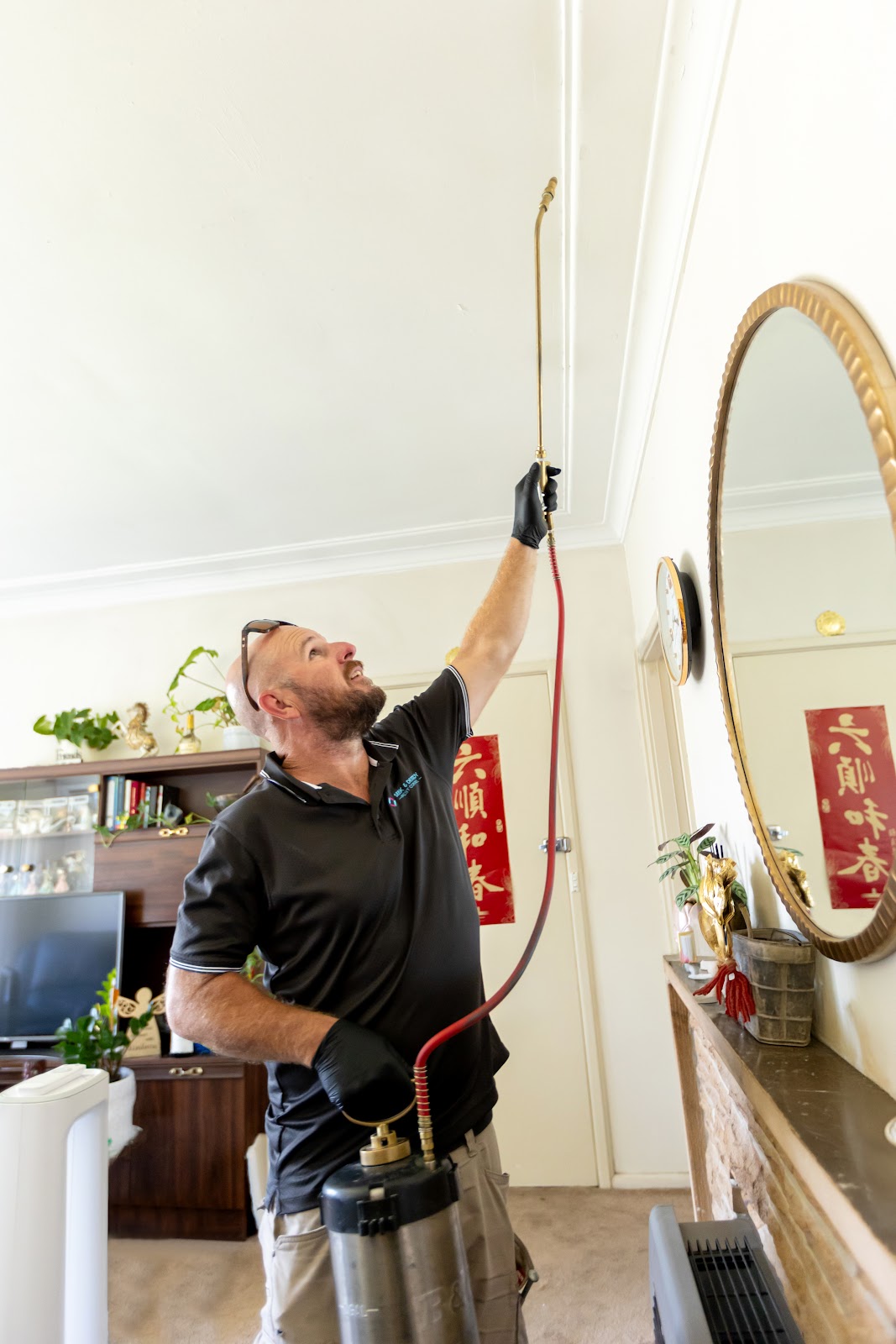 A technician treats a living room cornice