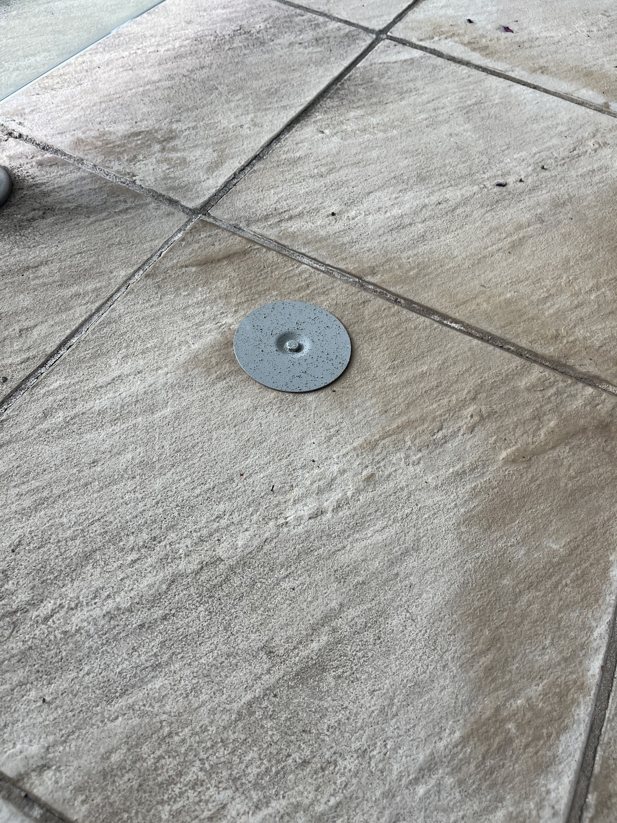 A termite bait station sits flush with sandstone pavers