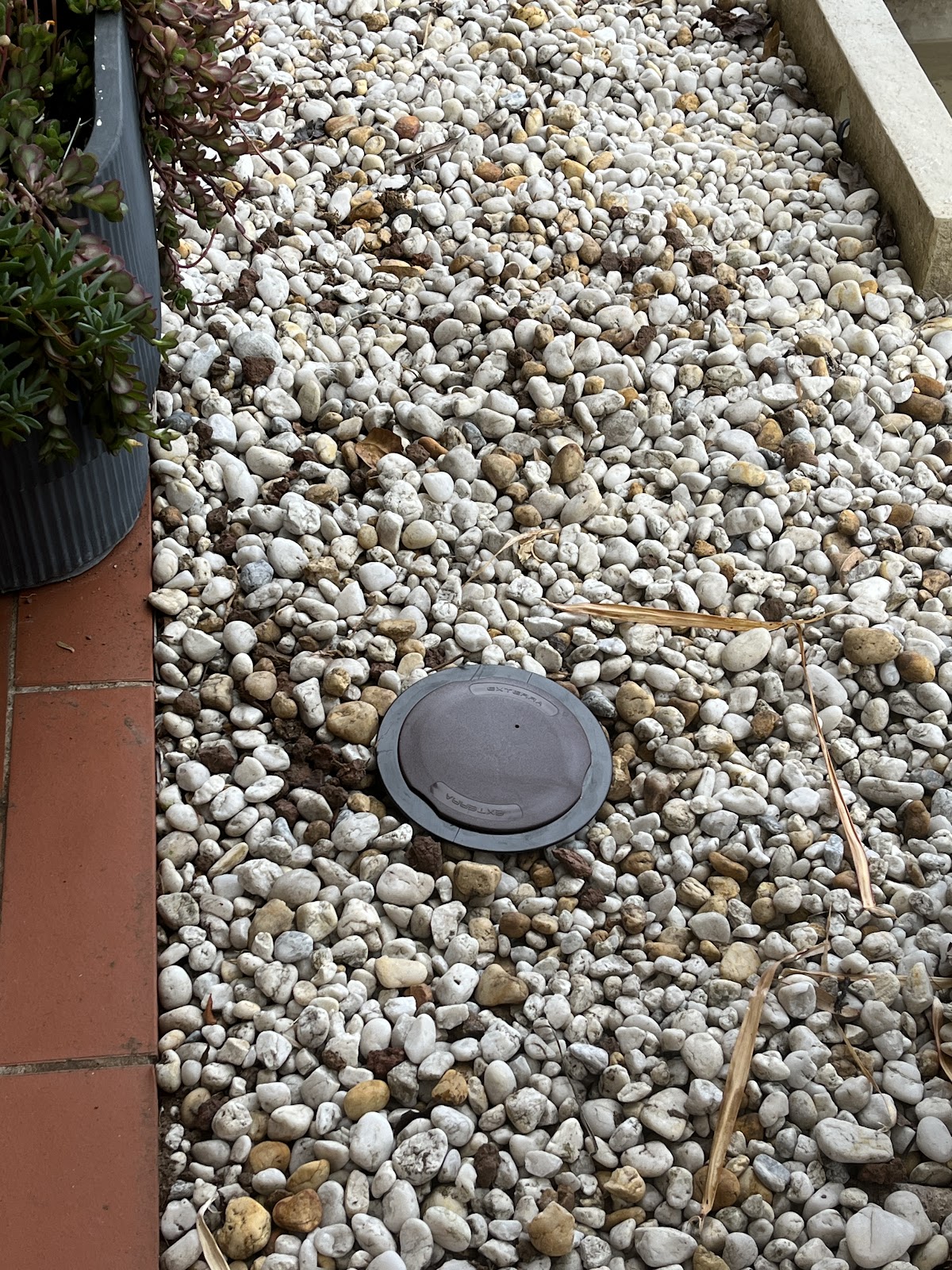 A termite bait station installed in white pebbles